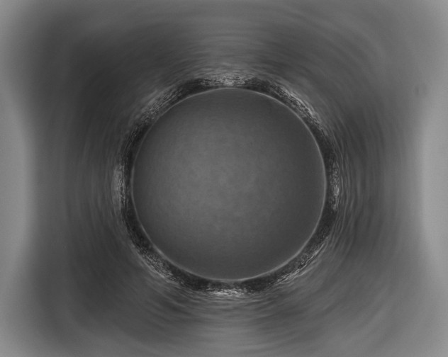 X0000116490594200912161320