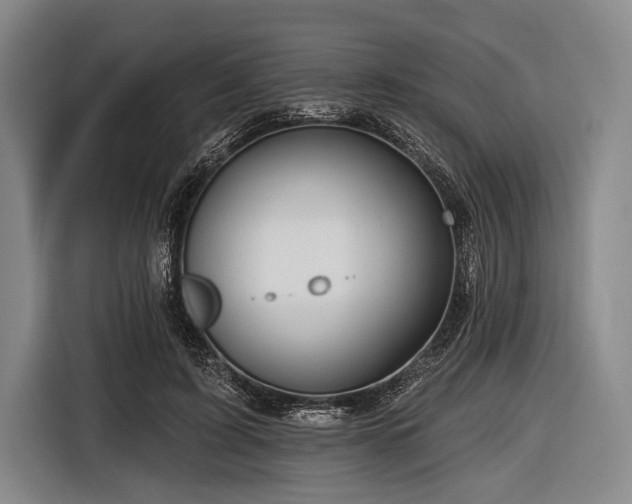 X0000116490595200912161320