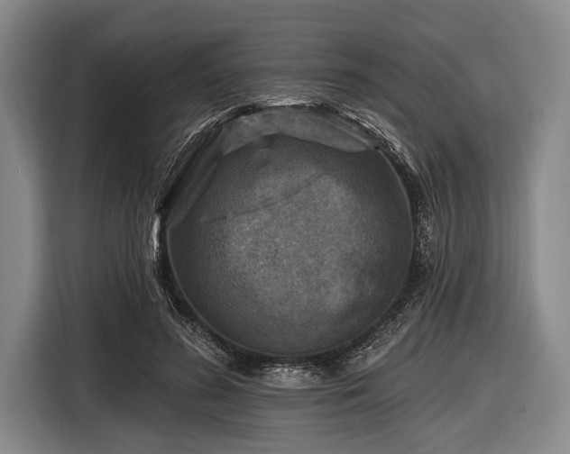 X0000116490596200912161320