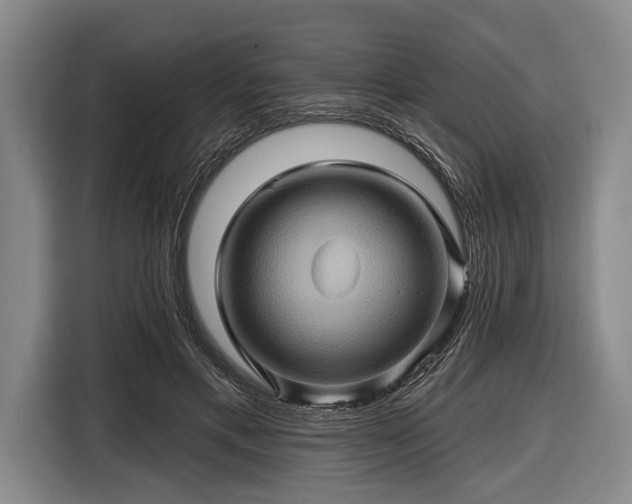 X0000116490597200912161320