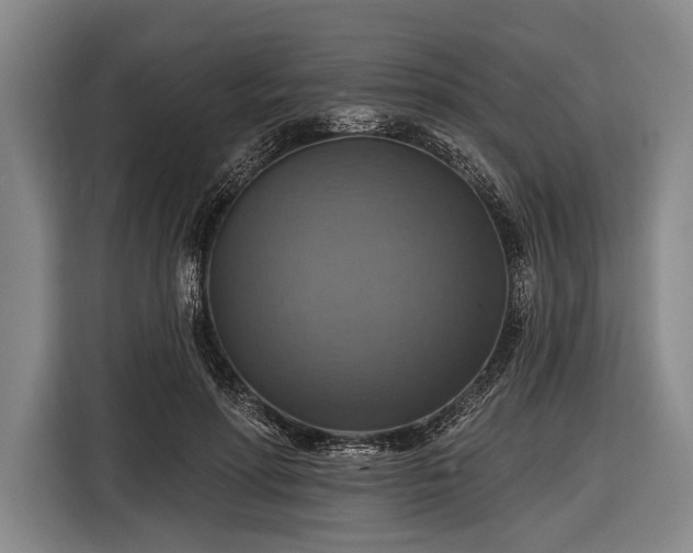 X0000116490598200912161320