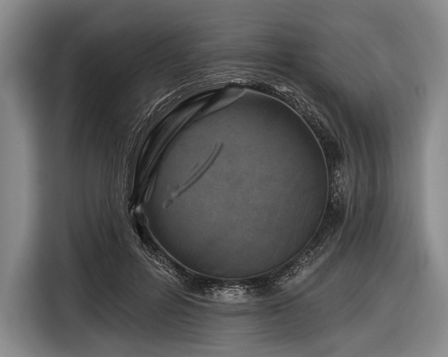 X0000116490600200912161320