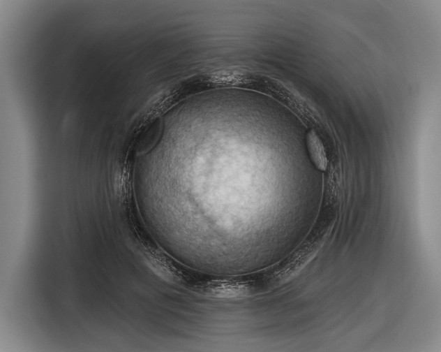 X0000116490601200912161320