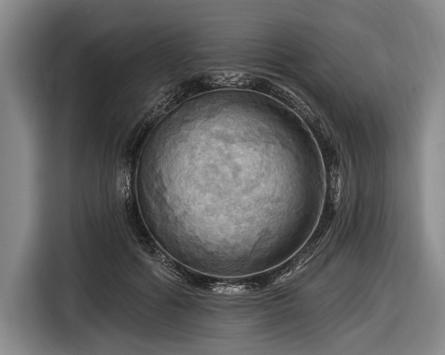 X0000116490602200912161320