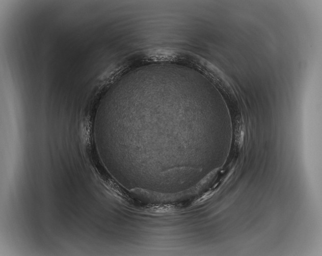 X0000116490604200912161320