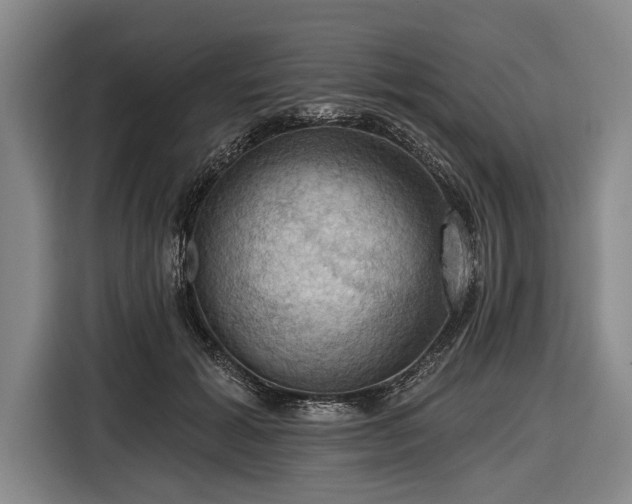 X0000116490605200912161320