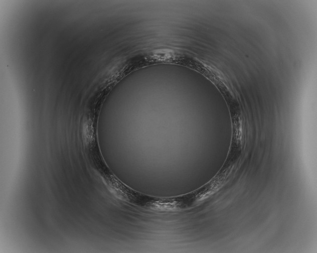 X0000116490606200912161320