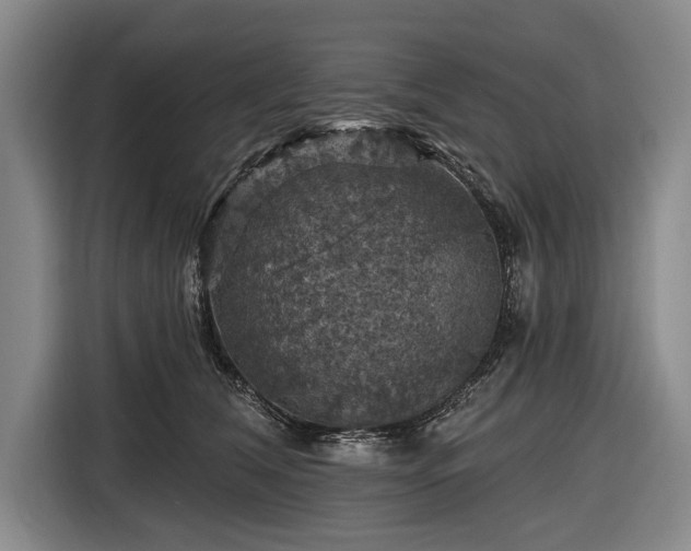 X0000116490612200912161320