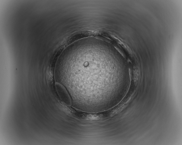 X0000116490613200912161320