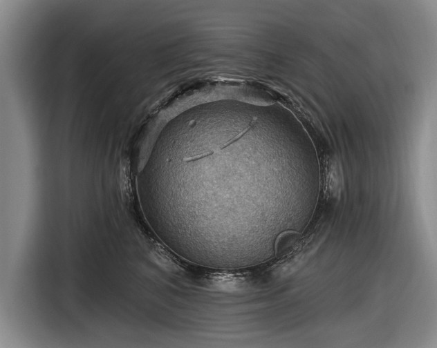 X0000116490616200912161320