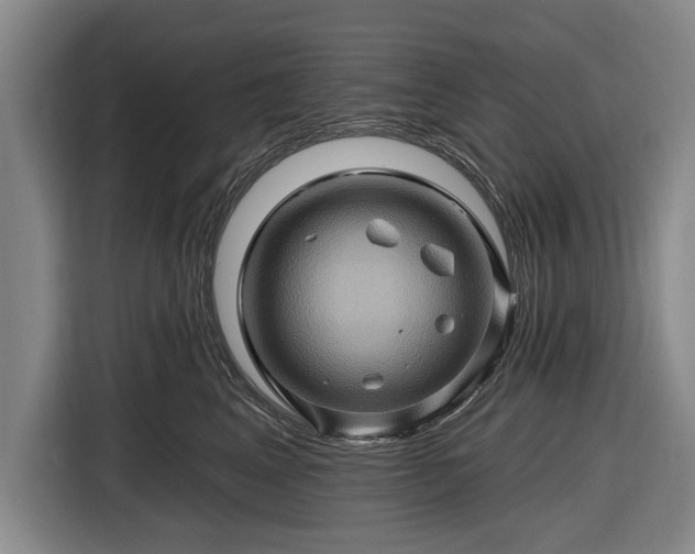 X0000116490617200912161320