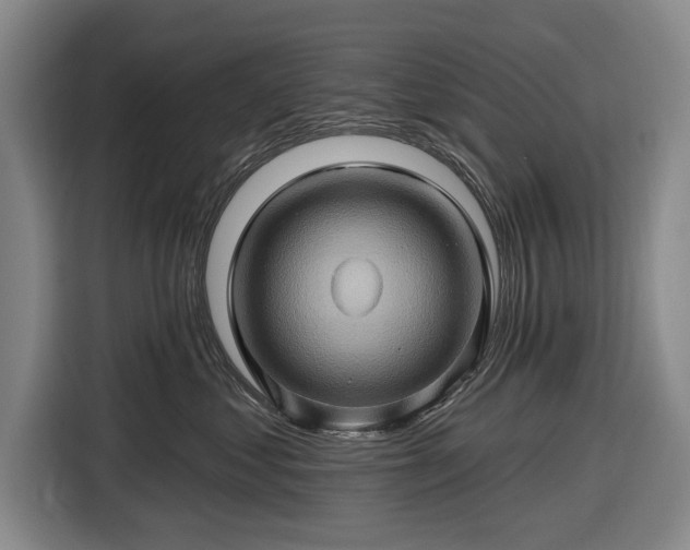 X0000116490621200912161320