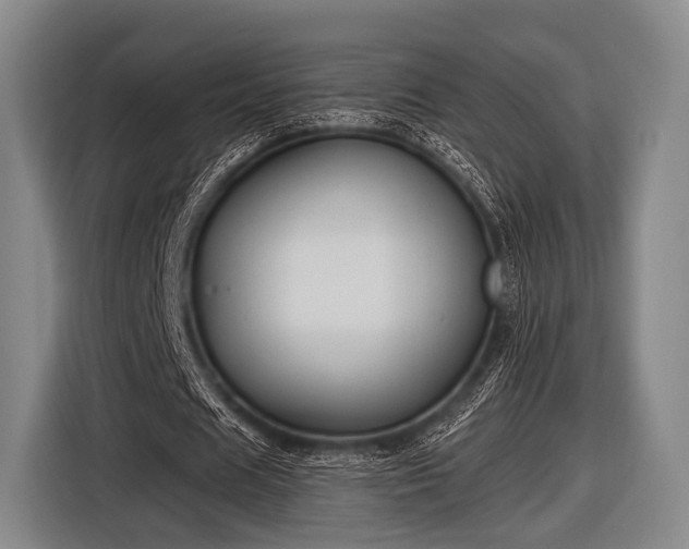 X0000116490625200912161319