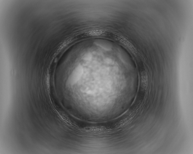 X0000116490626200912161319