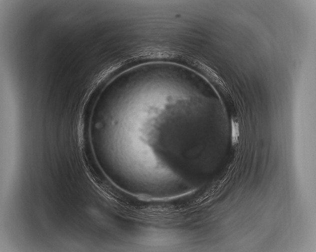 X0000116490627200912161319