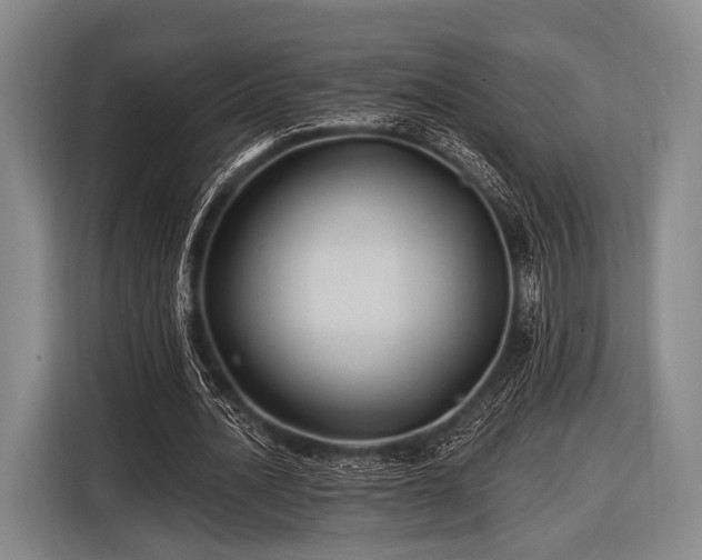 X0000116490628200912161319