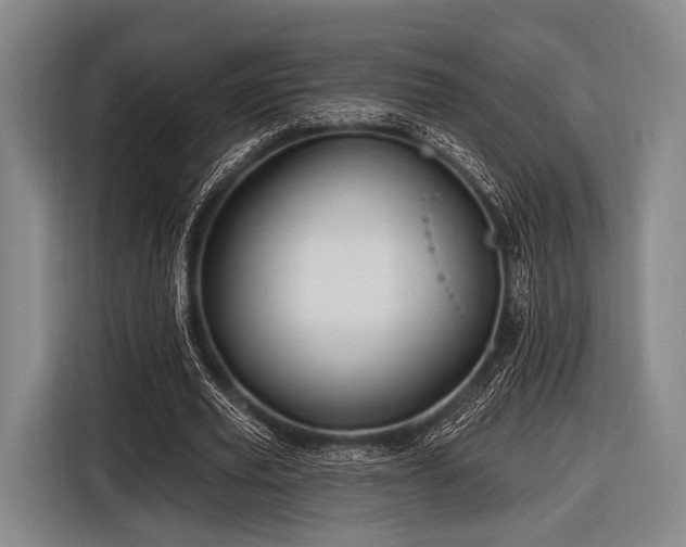 X0000116490629200912161319