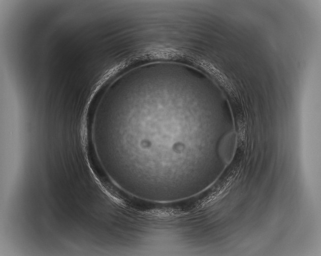 X0000116490630200912161319