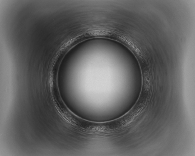 X0000116490631200912161319