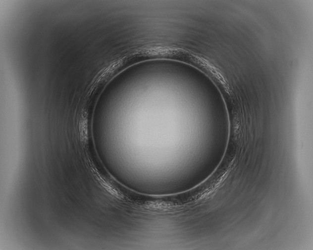 X0000116490633200912161319