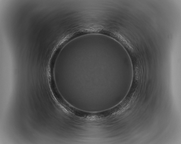 X0000116490634200912161319