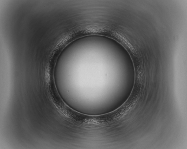 X0000116490635200912161319