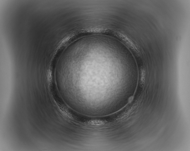 X0000116490636200912161319