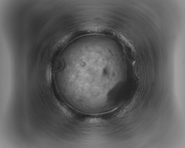 X0000116490637200912161319