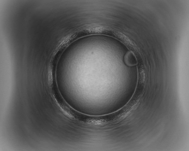 X0000116490638200912161319