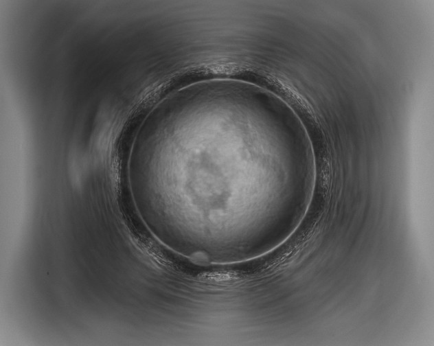 X0000116490639200912161319