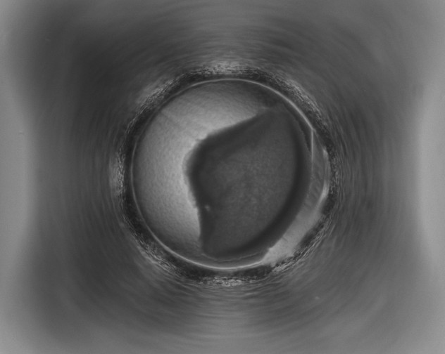 X0000116490640200912161319