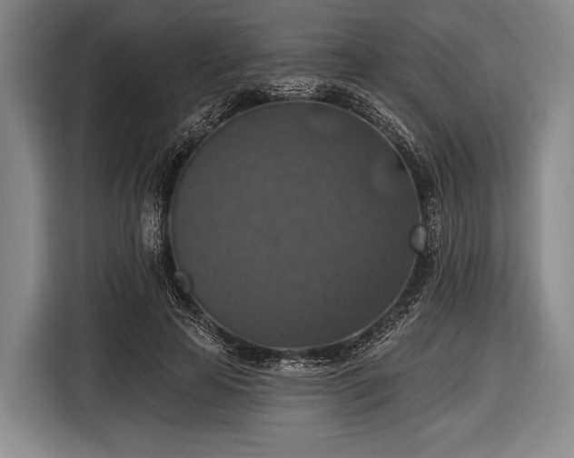 X0000116490641200912161319