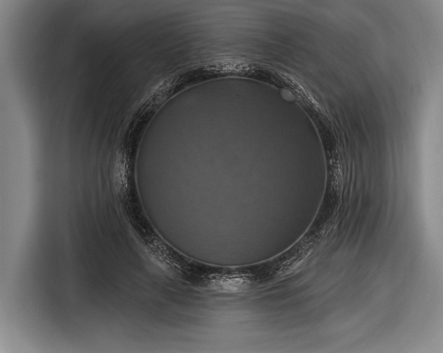 X0000116490643200912161319