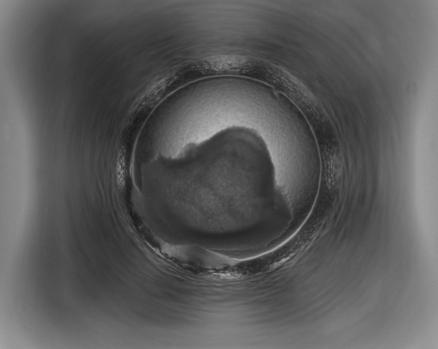 X0000116490644200912161319