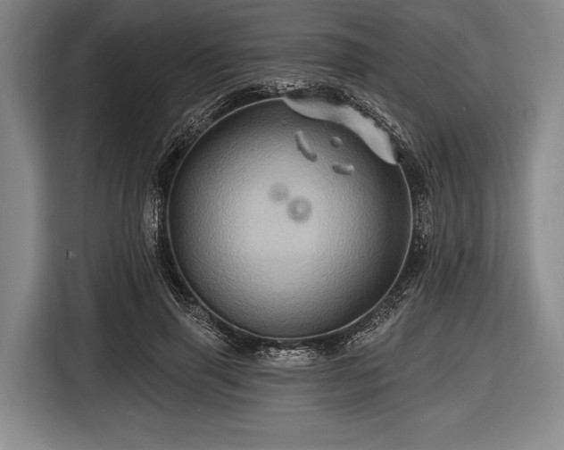 X0000116490645200912161319