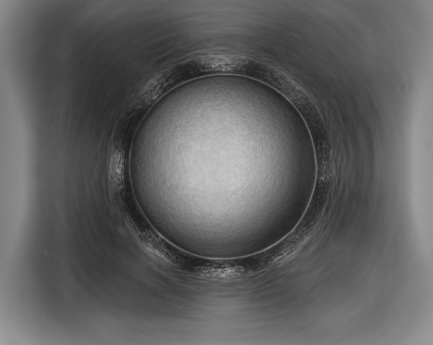 X0000116490646200912161319