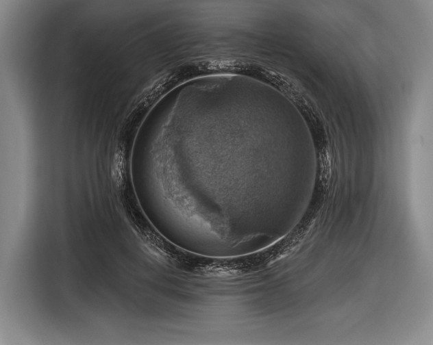 X0000116490648200912161319