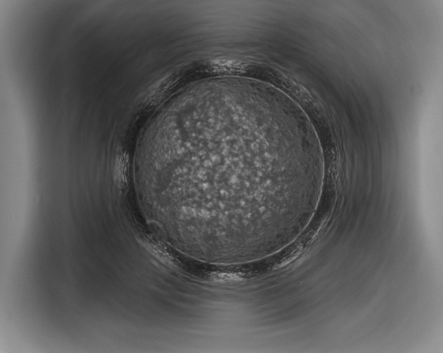 X0000116490649200912161319