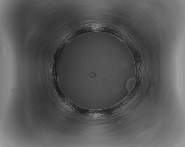 X0000116490650200912161319