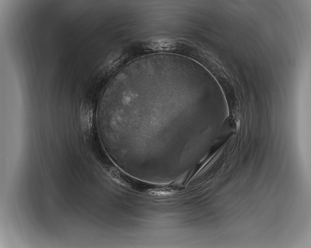 X0000116490652200912161319