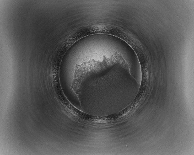 X0000116490653200912161319