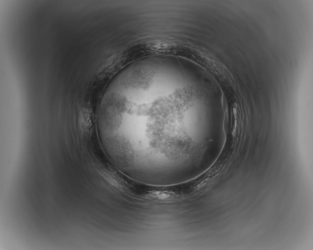 X0000116490654200912161319