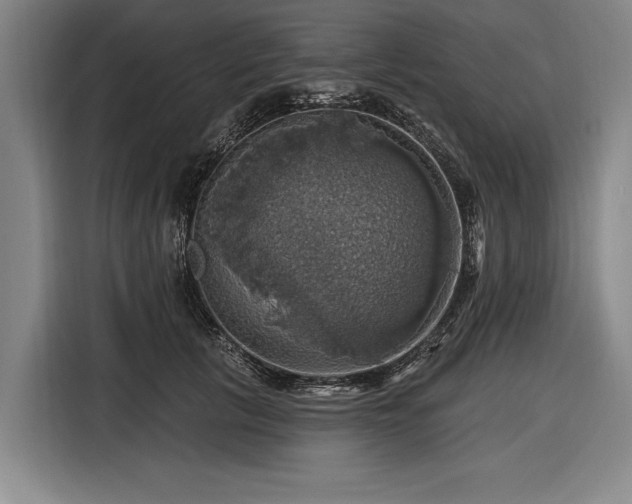 X0000116490657200912161319