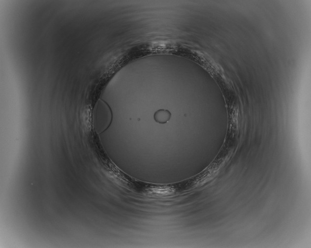 X0000116490659200912161319