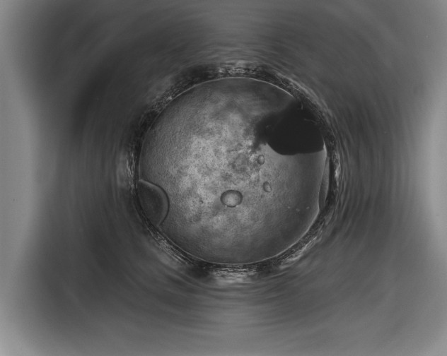 X0000116490661200912161320