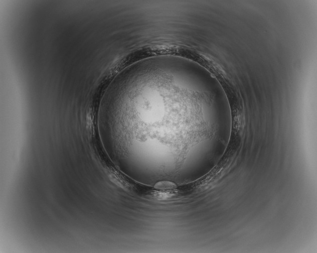 X0000116490662200912161320