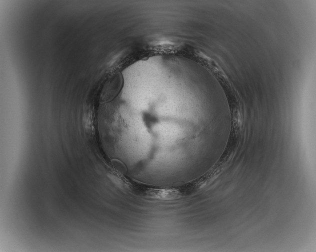 X0000116490663200912161320