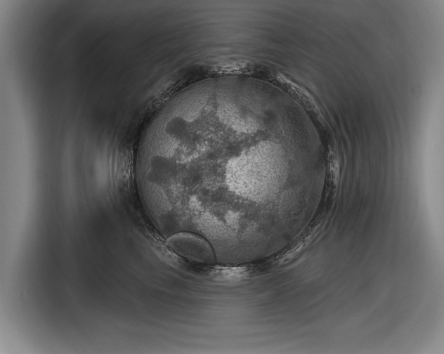 X0000116490665200912161320