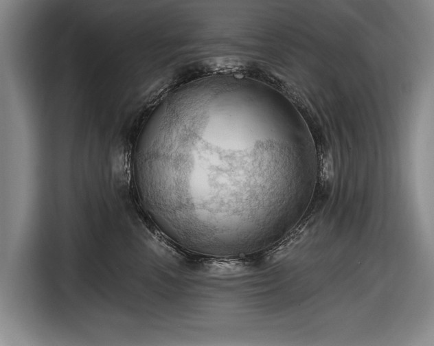 X0000116490666200912161320