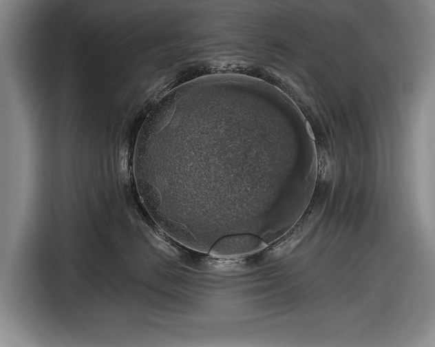 X0000116490670200912161320